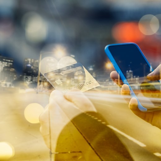 Dynamic Pricing in e-Commerce