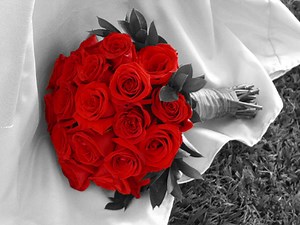 Photoshop - Selections - Color Range Command