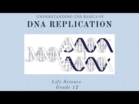 DNA replications | Life science grade 12 | DNA: Code of life