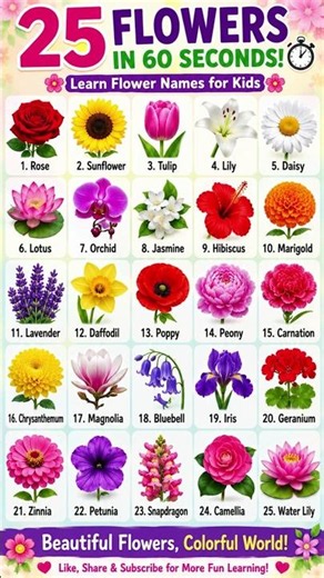 25 Flowers in 60 Seconds! 🌼 Learn Flower Names for Kids | Fun Vocabulary #shorts #viral #flowers