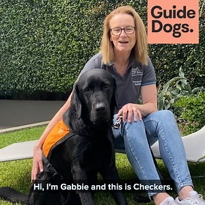 Did you know that interacting with Therapy Dogs is scientifically proven to lower heart rate, increase speech and memory function, and heighten mental clarity? As part of our Canine Court Companion Program (CCCP), Guide Dogs NSW/ACT partners with Dept of Communities and Justice NSW - safer together to support victims of crime to feel more relaxed and ease the stress of attending court, thanks to help of our carefully selected trained Therapy Dog and Handler team. In this video, Guide Dogs NSW/AC