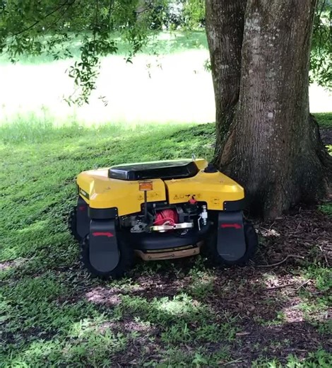 Spider's RC Cross Liner: Powerful Lawn Care Innovation