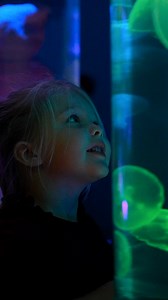 Take in sights of swimming sea turtles, color-changing cuttlefish, floating jellies and more at the Virginia Aquarium & Marine Science Center. With immersive exhibits and interactive touch pools, get out of your shell and buy your ticket today! | Virginia Aquarium & Marine Science Center