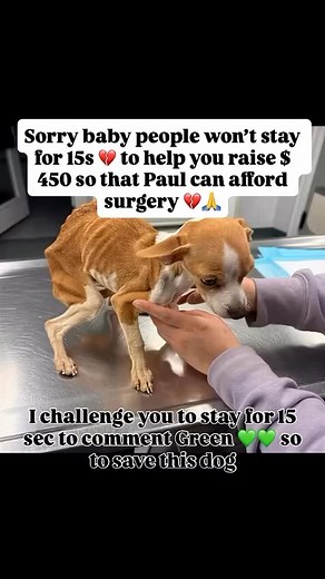 12K views · 1.5K reactions | This is the post I never wanted to...