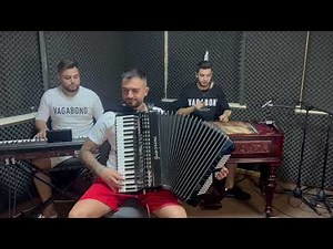 Daniel Migodici - Sârbă acordeon❗️