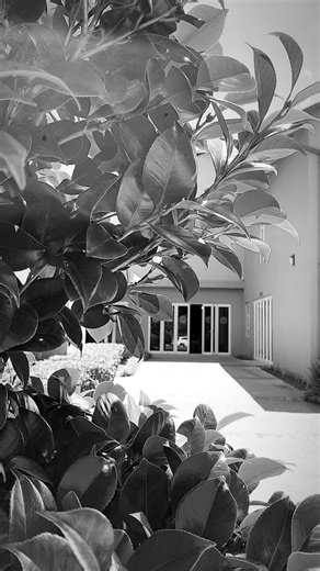 May you come to know His nature - what He is really like - in His gentleness, patience, lovingkindness, love and power. He makes all things new! | Breakthru Life Church