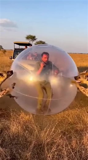 cuanto tiempo mas va durar esa defensa.