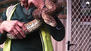 21K views · 270 reactions | At this prison, animals are rehabilitated...