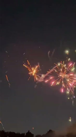 BEST BACKYARD FIREWORK SHOW #happynewyear