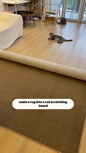 Wear-Resistant Sisal Cat Scratch Mat!🐱Link is in bio #catbed #catlover #cattoys #kitten #yourcat #funny #funnycats #shorts #cat #catshorts #bestpettoys #cutecat #catoftheday #catoftheworld #cattomemes #catofinsta #meow | Best Pet Toys