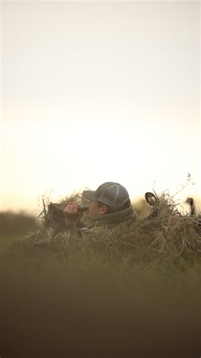 #goosehunting #geese #waterfowl | Quill Creek World Championship Calls