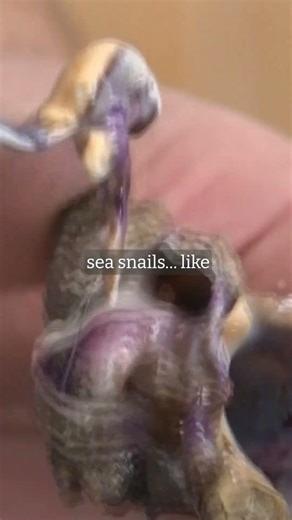 “Unexpected… Yet Sacred” 📜