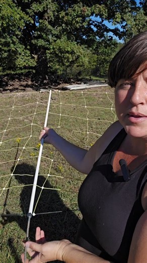4 comments | Electric netting, or in particular, sheep fencing. It's moveable but not necessarily doable for some regions. Area matters when it comes to fencing. I've been using electric netting on and off for over a decade in the Ozarks, and I can tell you it's not going to be used like you see on other Homesteads if you're in an area of rocky, dry, or dense soil. #homestead #electricfence #sheepfarming | The Homestead Helpdesk | Facebook
