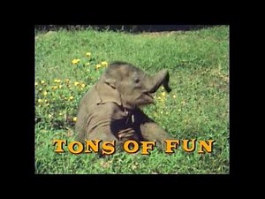 Growing Up Wild: Tons of Fun