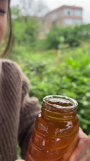 How to Extract Honey from a Beehive: Step-by-Step Guide