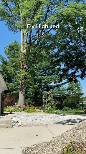 The lord took another awesome person this year inbredjedd lost his life in a tree cutting accident. Him and @Jacob Rogers were huge inspirations to me when I got into the tree industry. I’ve never met them but their content is awesome and full of knowledge. Jacob has a link to a go fund me on his IG if you would like to help Jed’s family. And Jacob sorry for your loss man.#lifestooshort