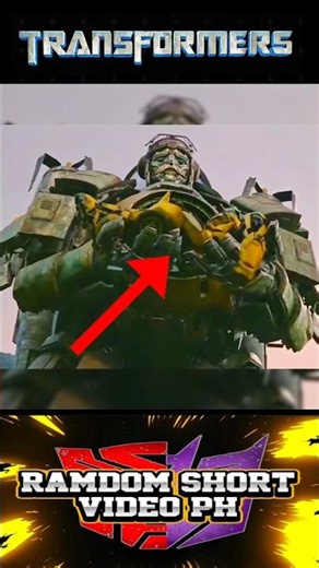 Did you Still Remember this Scene how Stratosphere Care Bumblebee death Body?