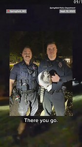 Missouri officers captured a loose pet lemur after a short foot pursuit, snuggling it up in a towel before handing it over to local animal control. | NBC News