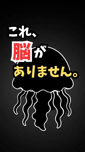 これ分かる？海の生き物シルエットクイズ！