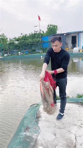 Learn How To Throw A Net In This Video. #fishingline #fishingfanatics #fishinglifestyle #fishinglife