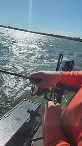 31K views · 230 reactions | Catching fish!! | Clear Lake Bait & Tackle Inc. | Facebook