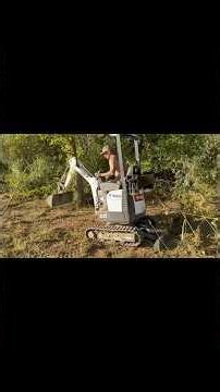 BOBCAT E10 CLEARS BRUSH LIKE A CHAMP