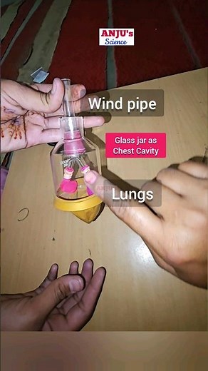 Inhalation and Exhalation Process || Activity 10.6 Class 7 Chapter 10 Science #shorts