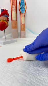 958K views · 6.5K reactions | Just a little CPR demo... on a marshmallow  變CPR = Manually pumping the heart to keep blood flowing when it stops 變Compression depth: At least 2 inches to squeeze the heart effectively 變Full chest recoil: Let the chest rise fully between compressions so the heart can refill! Skipping recoil or shallow compressions = poor blood flow! #CPR #NursingStudent #FutureNurse #NursingSchool #BLS #NurseLife | Nurse In The Making | Facebook