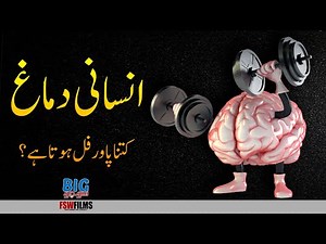 How Powerful is The Human Brain Compared to a Computer? | Faisal Warraich