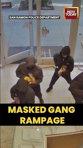 Masked robbers smash jewelry cases with pickaxes in shocking smash-and-grab store heist
