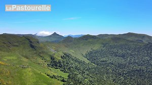 👀✨ Spécialement pour vous, 30 secondes d’immersion au coeur de la Pastourelle : une découverte pour certains, des souvenirs pour d’autres... 🤩 ouvrez grands les yeux... plus que quelques mois à patienter ! ⛰️🍃 #cantal #lapastourelle #auvergne #paysdesalers #trail #VTT #rando #paysages | La-Pastourelle Salers