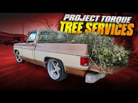 Project Torque Tree Services! 🌳