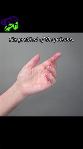 Darque Path on Instagram: "I think Belladonna is the prettiest of our UV #waxplay candles. And yes we do use these oursleves because we are part of the #kinkcommunity 🖤 #pink #uv #kinktok"