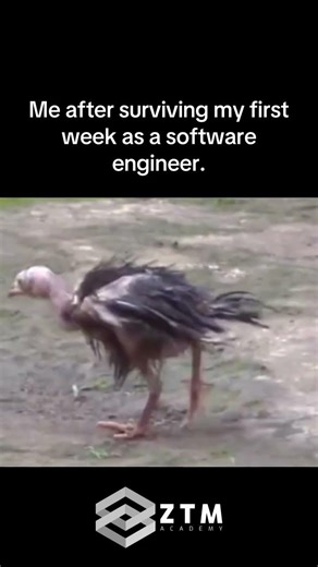 POV: You just started in tech 💀