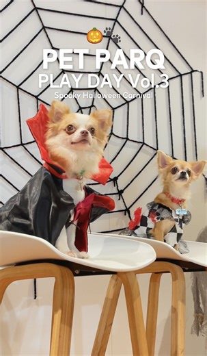 PET PARQ PLAY DAY Vol.3 สนุกครบทุกโมเมนต์จัดเต็มทั้งขบวนฮาโลวีนสุดคิ้วท์ 👻✨ กิจกรรมกับเพื่อนซี้ขนฟู พร้อมเสียงเฮฮาตลอดทั้งงาน 💝🐶 . ภายในงานเต็มไปด้วยกิจกรรมสุดสนุก ทั้งขบวน Pet Parade การประกวดแต่งกายสุดครีเอทีฟ, Poodle Toy Party ของน้องขนฟูที่มาโชว์ความสามารถสุดน่ารัก, Workshop Fine Dining เมนูสุดพิเศษสำหรับเพื่อนสี่ขา และ Dog Training Workshop และอัพเดท Nutrition Trend ของน้องหมาน้องแมว ที่เจ้าของและน้องๆ ได้เรียนรู้ไปพร้อมกัน 💕 . อย่าลืมกดติดตามเพจ The PARQ แล้วเจอกันใหม่ครั้งหน้าน้า💖 #T