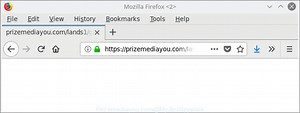 How to remove Prizemediayou.com pop-ups [Chrome, Firefox, IE, Edge]