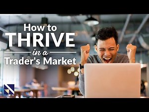 How to Thrive in a Trader's Market | VectorVest