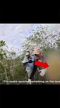 Finding a Snake with CLAWS?! 😱 Everglades Python Hunt | Outdoorboys