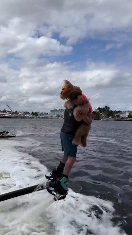 I bet you’ve never seen a dog do this! First dog to backflip! #watersports #goldendoodle #jetpack