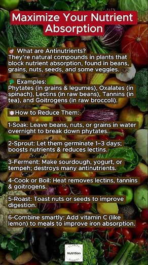 Maximize Your Nutrient Absorption