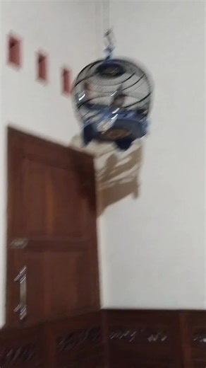 SERO. BF2 (@sero..bf2)’s videos with suara asli - SERO. BF2