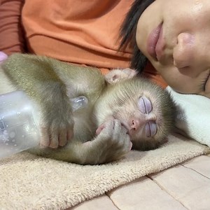 81K views · 10K reactions | Johnson you sleep with mom. | Tom & Jerry Family | Facebook