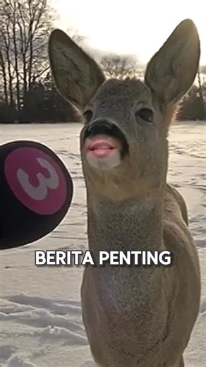 Kyra - Game and Tech on Instagram: "noted: pake react js 19.2.4 yg udh aman dari vulnerability issue kemarin ya #programmer #coding #programming"