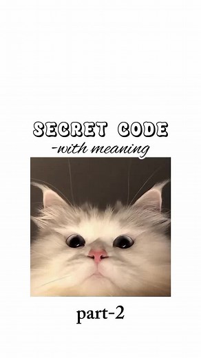 Deciphering the Secret Code Meaning: Love, Crush, and Happiness Revealed