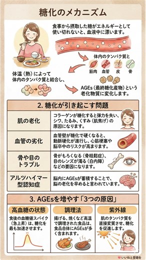 【老化の正体】体内で起こる「糖化」の恐怖…見た目も血管もボロボロにするAGEsの防ぎ方
