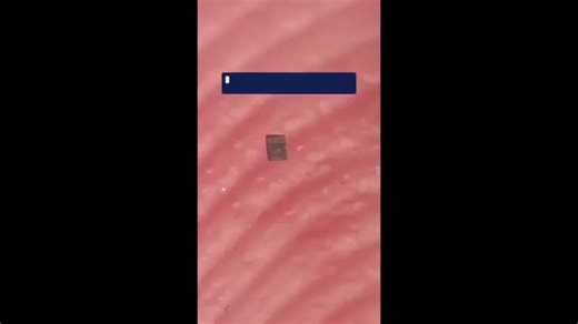 Observer Voice on Instagram: "Smaller Than a Grain of Salt: The Age of the Nanobot is Here! 🔬🤖 The future of robotics isn’t towering humanoids or massive machines — it’s microscopic. Researchers from University of Pennsylvania and the University of Michigan have unveiled the world’s smallest fully autonomous robots, marking a breakthrough moment in science and engineering. Despite being smaller than a grain of salt, these nanobots can: Move independently Respond to their environment Perform co