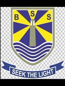 12 reactions | Students of grade VI created 3D Models of Plastic Recycling Bins to create awareness about waste segregation and designed posters to suggest solutions for prevention of plastic pollution in their Science Term Project. A job well done!!! | Beaconhouse Primary Campus F-7/3, Islamabad | Facebook