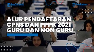 TRIBUNKALTARA.COM - Berikut ini alur pendaftaran CPNS dan PPPK tahun...