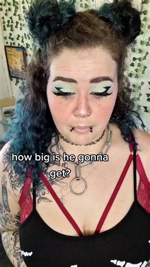 Painfully-Pop-Punk on TikTok