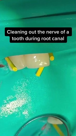 Dentist OMG on TikTok